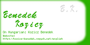 benedek kozicz business card